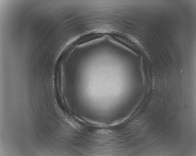 X0000056380535200509161924