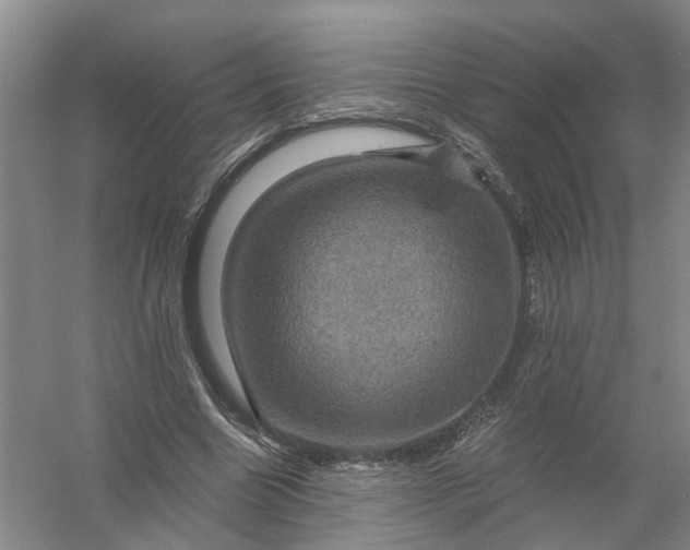 X0000056380538200509161924