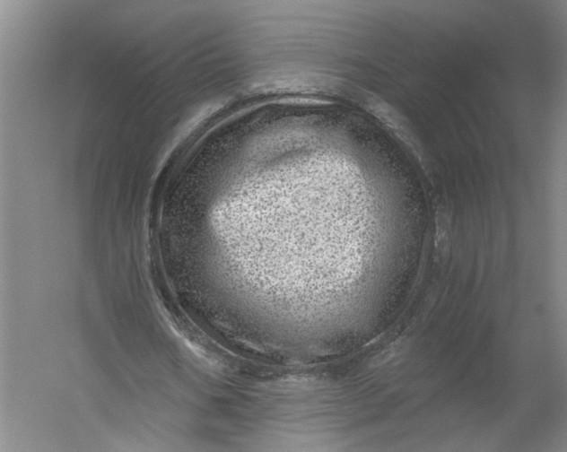 X0000056380578200509161924