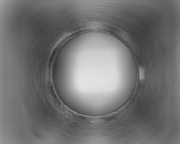X0000056380579200509161924