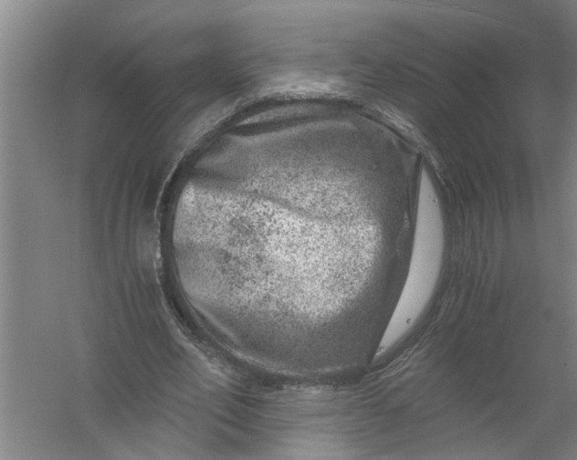 X0000056380582200509161923