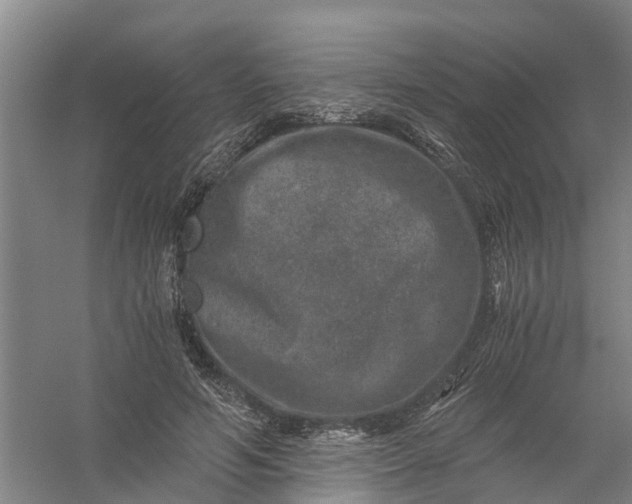 X0000056380594200509161923
