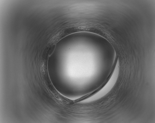 X0000056380597200509161923
