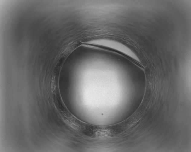 X0000056380599200509161923