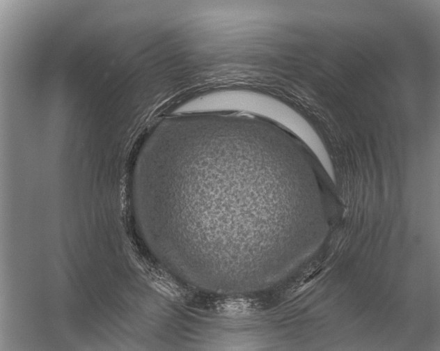 X0000056380600200509161923