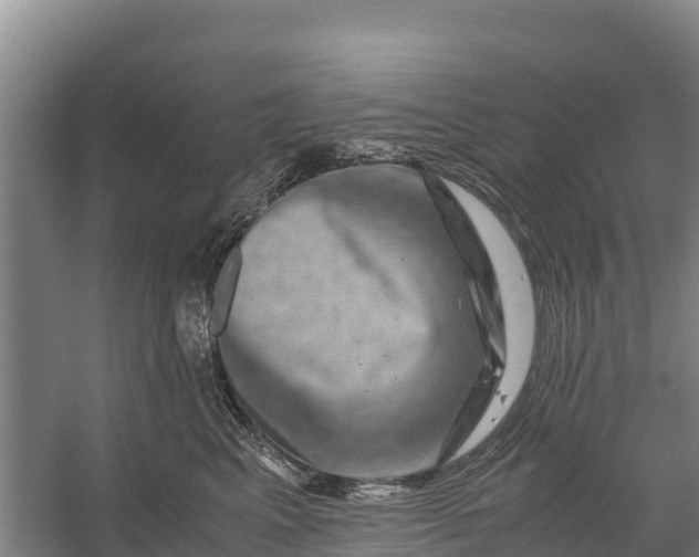 X0000056380617200509161923