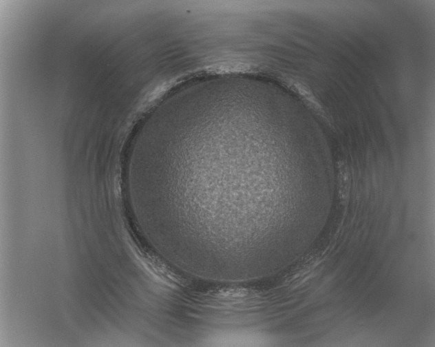X0000056380631200509161922