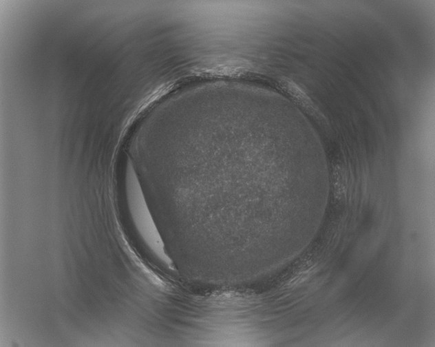 X0000056380634200509161922
