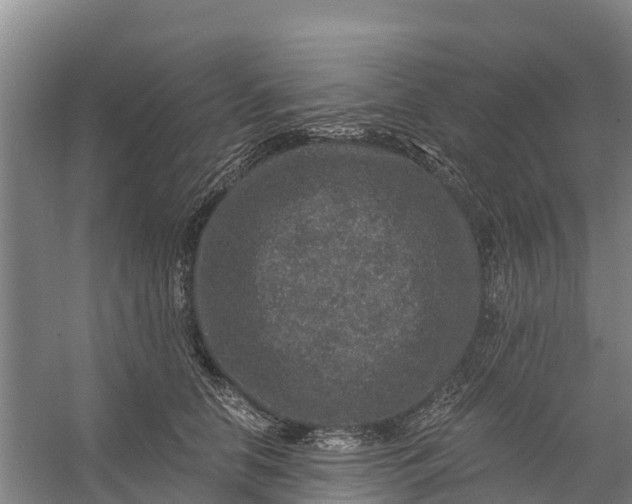 X0000056380658200509161922