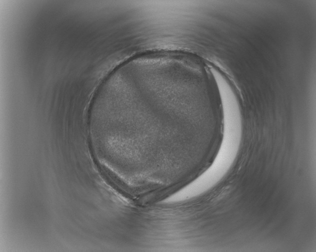 X0000056380673200509161922