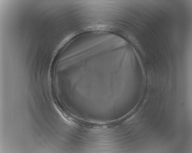 X0000056380674200509161922