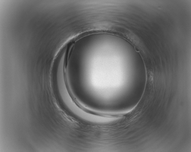 X0000056380676200509161922