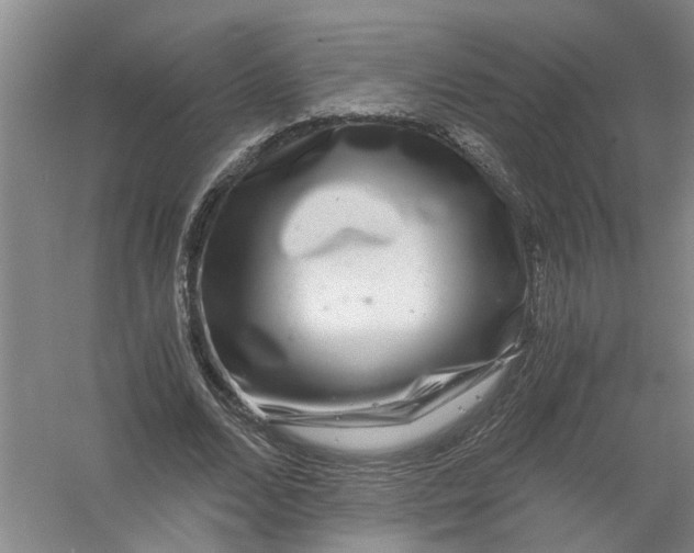 X0000056380680200509161922