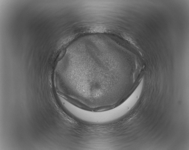 X0000056380681200509161922