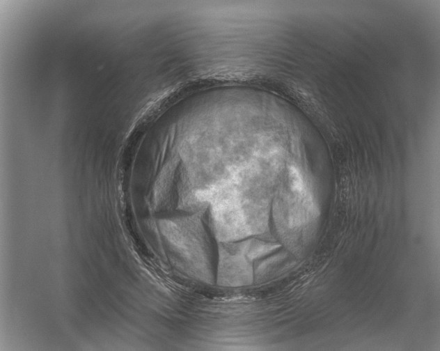 X0000056380688200509161922