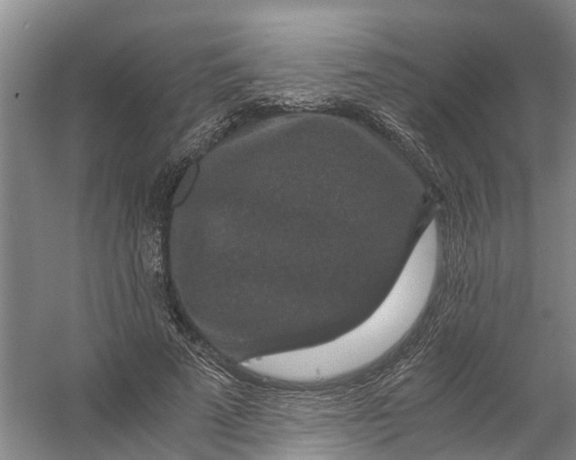 X0000056380689200509161922