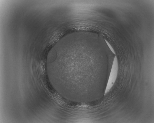X0000056380695200509161922