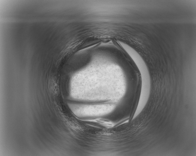X0000056380743200509161921
