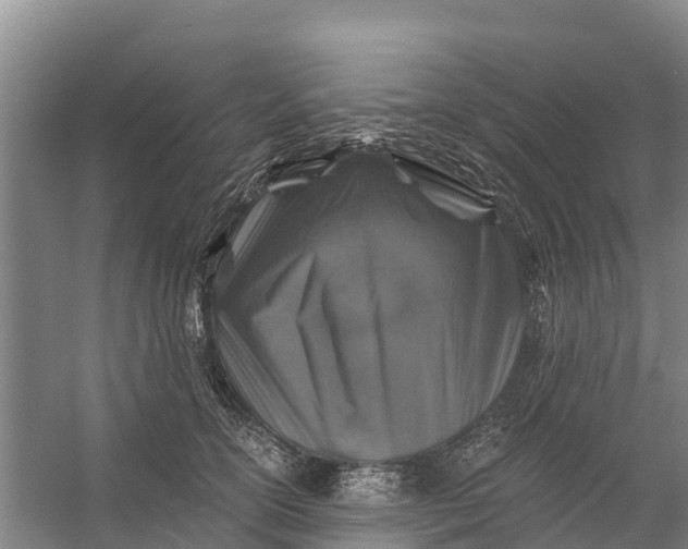 X0000056380754200509161921