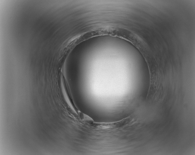 X0000056380773200509161920