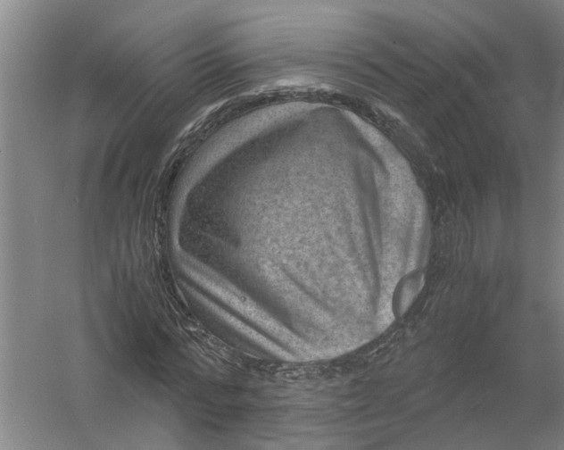 X0000056380776200509161920