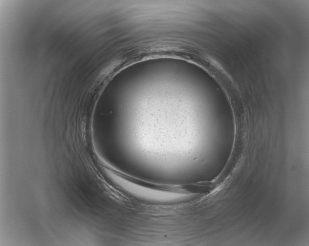 X0000056380777200509161920
