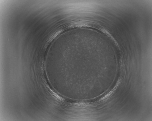 X0000056380785200509161920
