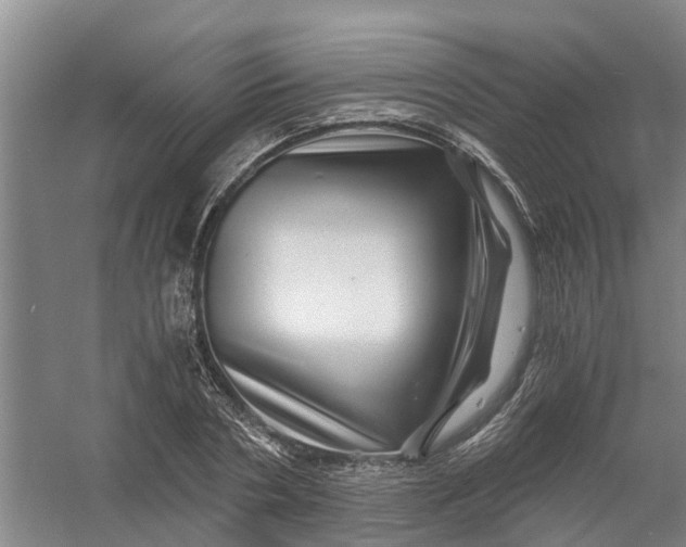 X0000056380786200509161920