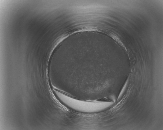 X0000056380797200509161920