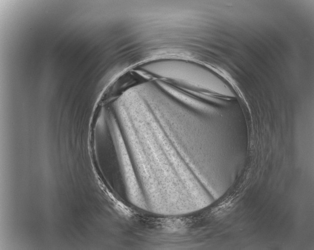 X0000056380799200509161920