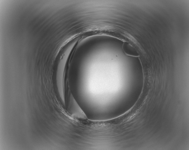 X0000056380826200509161919