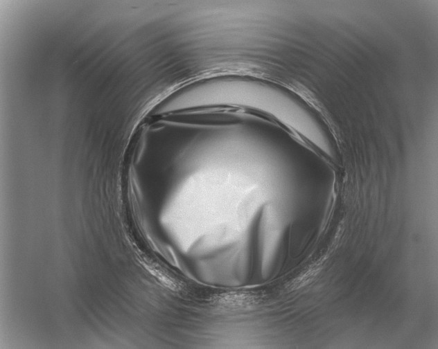 X0000056380834200509161919