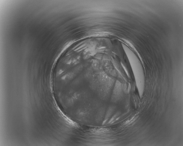 X0000056380851200509161919