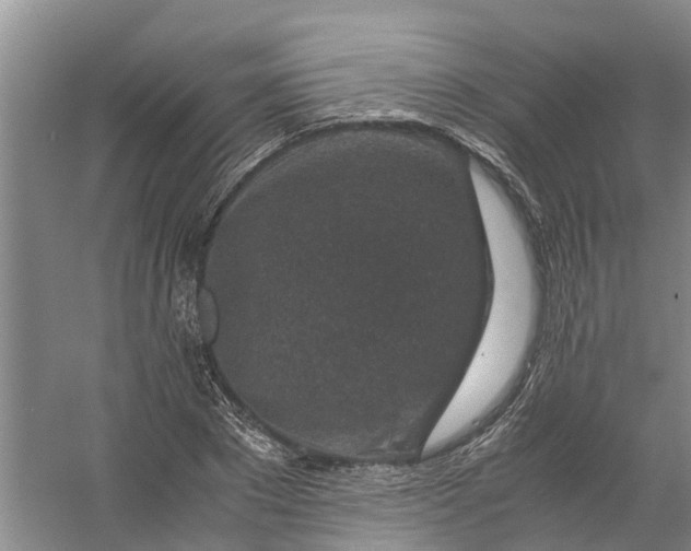 X0000056380881200509161918