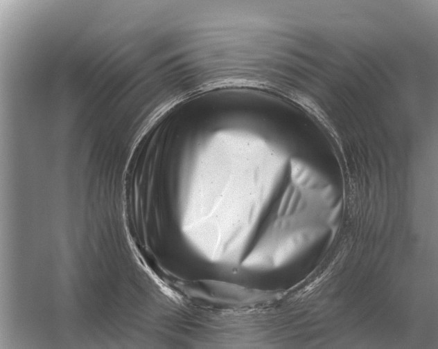 X0000056380898200509161918