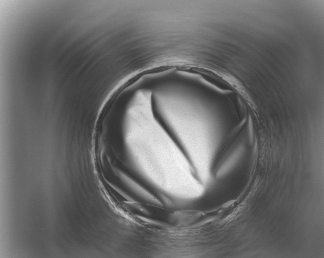 X0000056380904200509161918