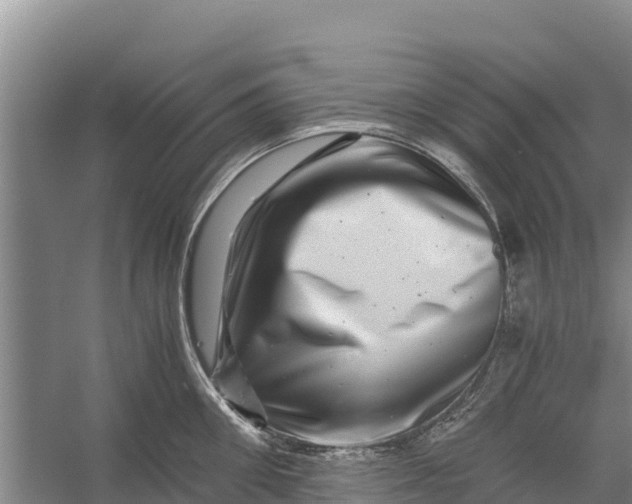X0000056380906200509161918