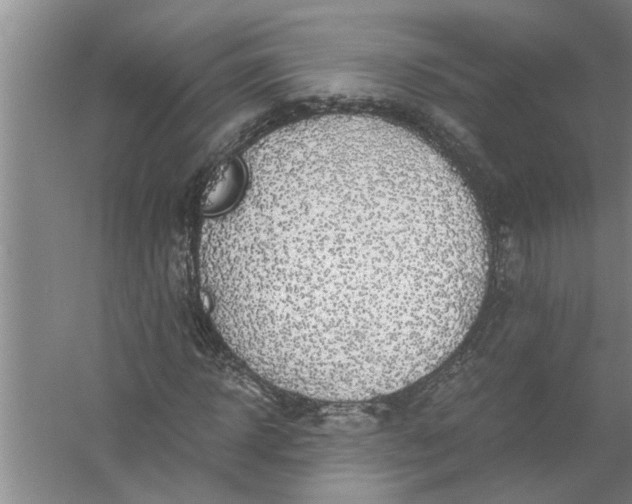 X0000056380918200509161917