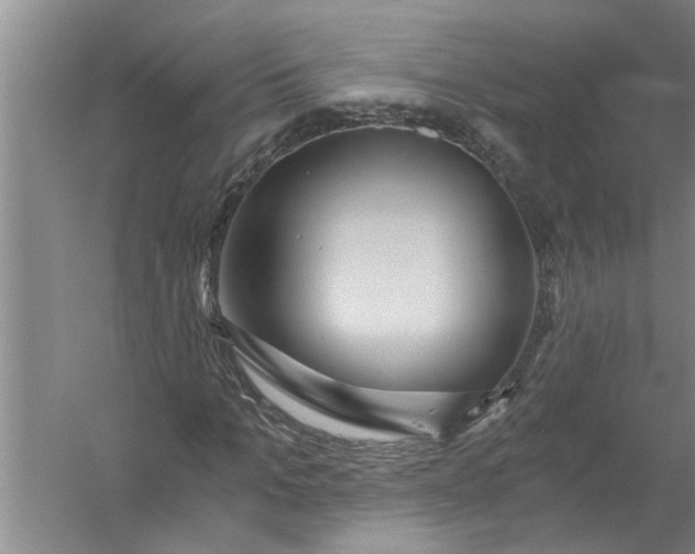 X0000056380965200509161917