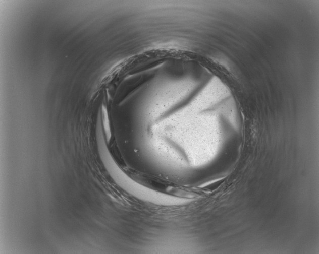 X0000056380968200509161917