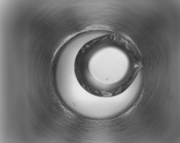 X0000056380973200509161917
