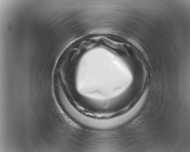 X0000056380984200509161917