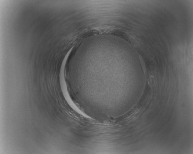 X0000056381010200509161915