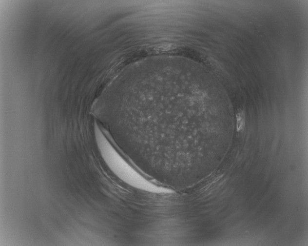 X0000056381011200509161915