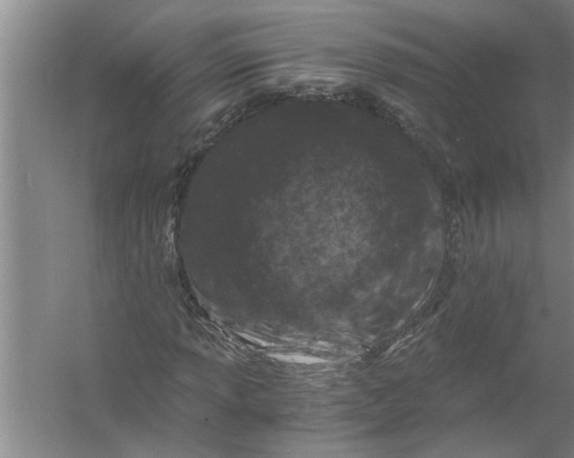 X0000056381013200509161915