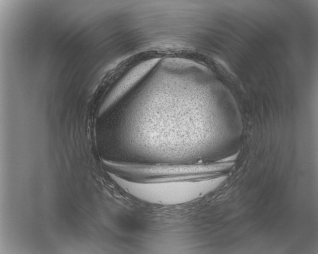 X0000056381016200509161915