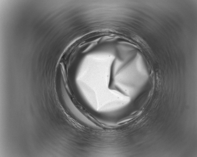X0000056381020200509161916