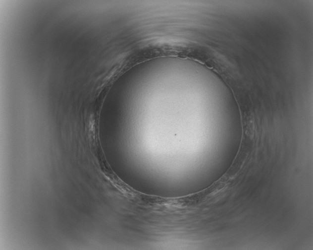 X0000056381061200509161915