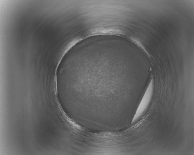 X0000056381079200509161915