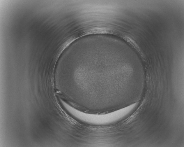 X0000056381081200509161915